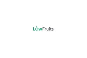 Avis LowFruits : l'outil ultime pour trouver des mots-clés faciles ?